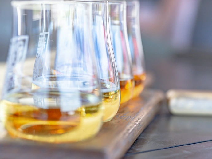 Animal fat converted into biodiesel